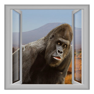 Poster Curieux Fenêtre de Gorilla 3D