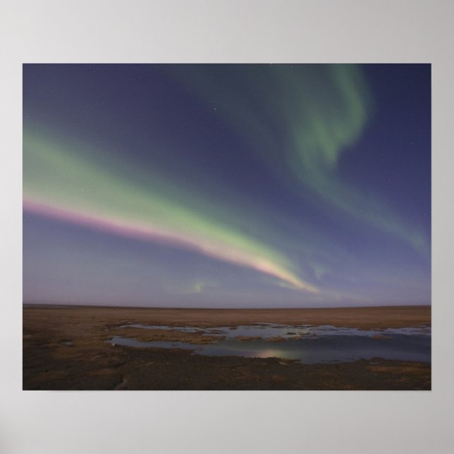 Poster Curtains of colored northern lights (Devant)