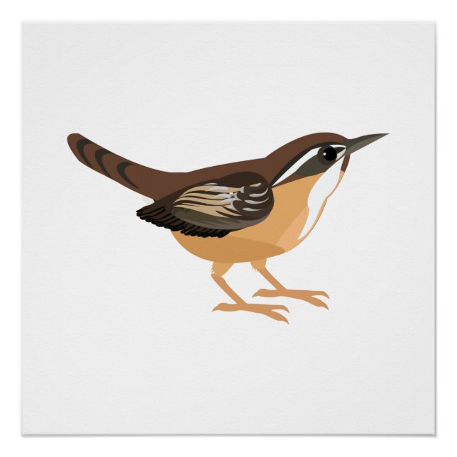 Poster Cute Carolina Wren (Devant)