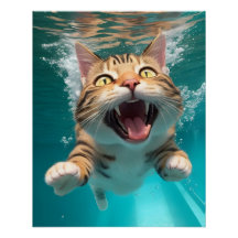 Cute Chat Plongée sous l'eau dans la piscine Amusa