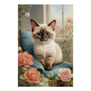 Poster Cute chat siamese