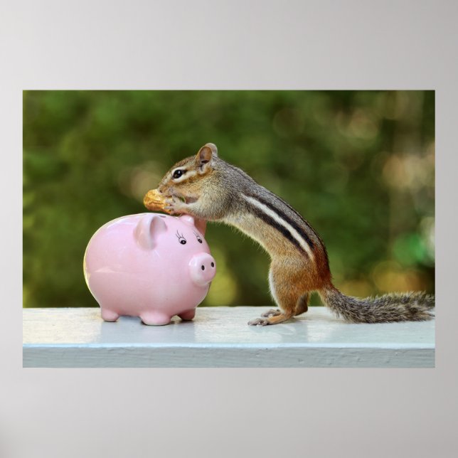 Poster Cute Chipmunk avec Funny Money Piggy Bank Photo (Devant)