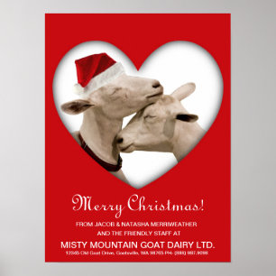 Poster Cute Christmas Goat Couple