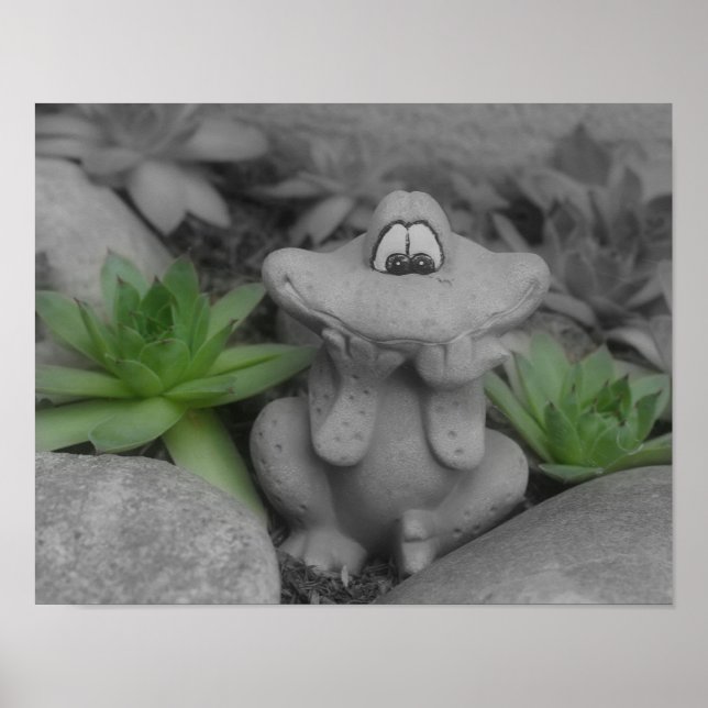 Poster Cute Flower Garden Frog Couleur partielle (Devant)
