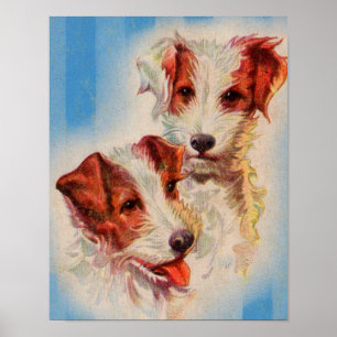 Poster CUTE Jack Russell terriers