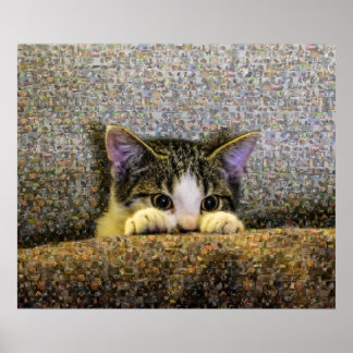 Poster Cute Kitten Photo Mosaic.
