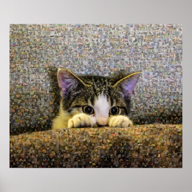 Poster Cute Kitten Photo Mosaic. (Devant)