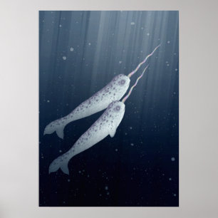 Poster Cute Narwhals Nager Ensemble Sous L'Eau
