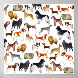 Poster Cute Pedigree Papier peint pour chien animal de co
