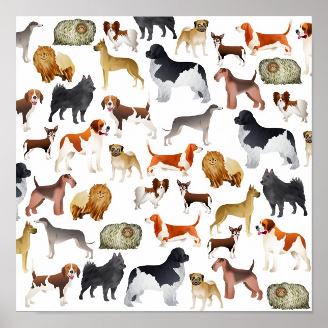 Poster Cute Pedigree Papier peint pour chien animal de co (Devant)