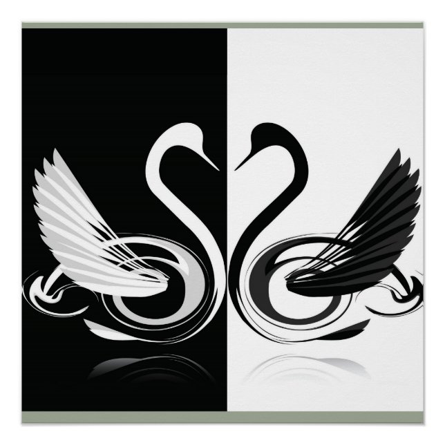 Poster cygne (Devant)