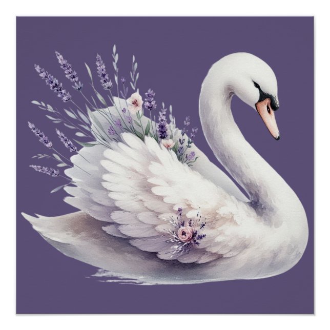 Poster Cygne aquarelle avec fleurs de lavande (Devant)