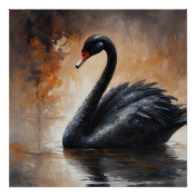 Cygne noir 3
