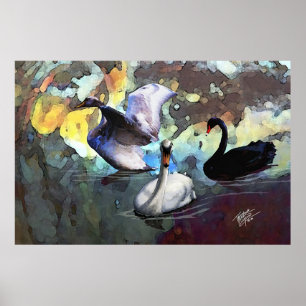 Poster Cygnes chinois de style d'aquarelle nageant