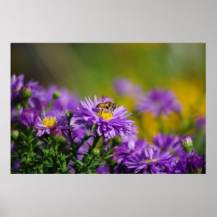Poster d'abeilles