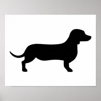 Poster Dachshund