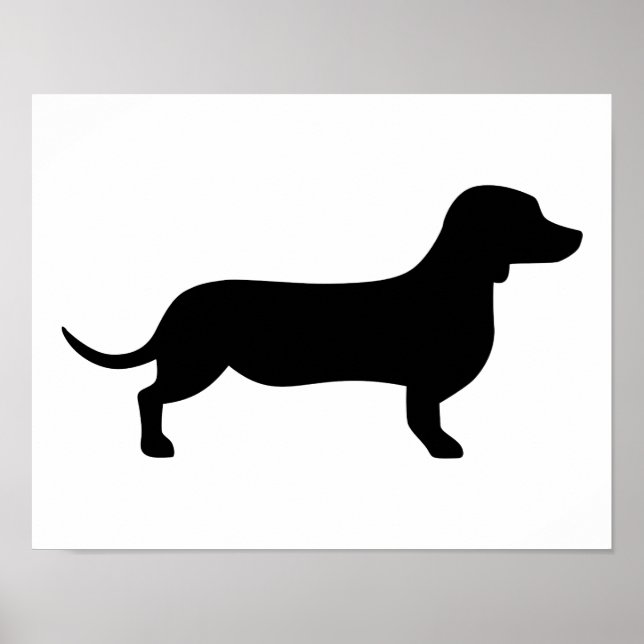 Poster Dachshund (Devant)