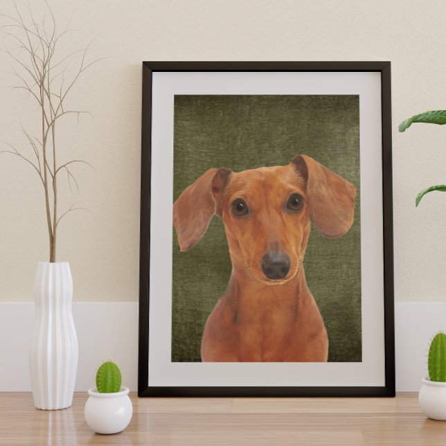 Poster Dachshund (Créateur téléchargé)