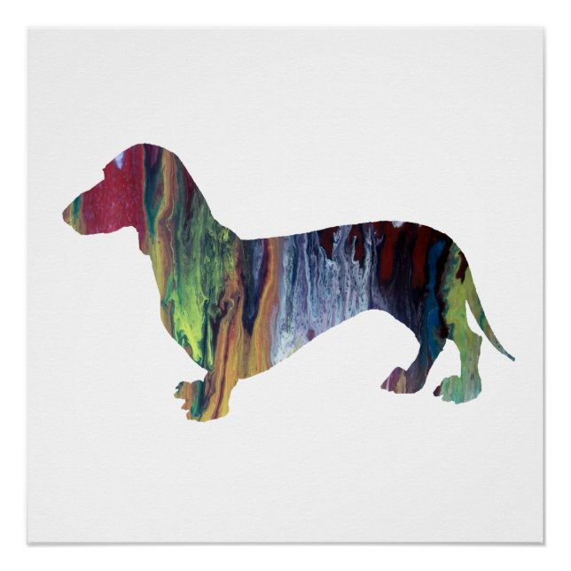 Poster dachshund (Devant)