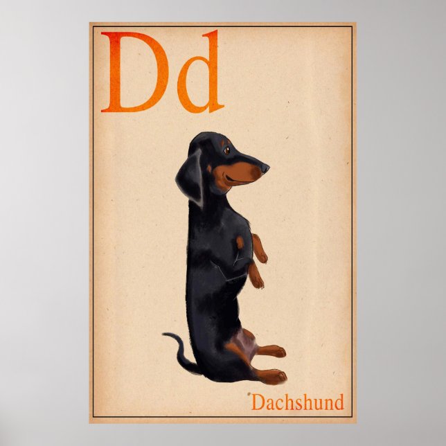 Poster Dachshund (Devant)