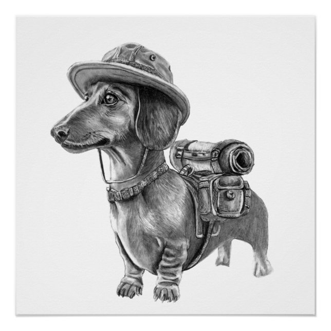 Poster Dachshund aventurier (Devant)