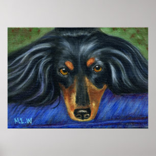 Poster Dachshund Chig Breed Art - Hallie