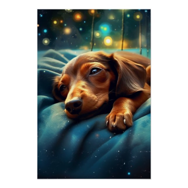 Poster Dachshund Dreams (Devant)