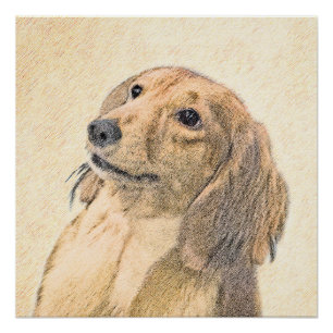 Poster Dachshund (Longhaerien) Peinture - Art Chien origi
