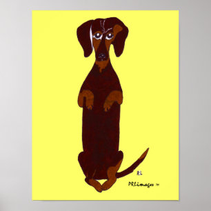 Poster Dachshund Sidney Imprimer