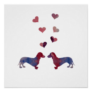 Poster Dachshunds