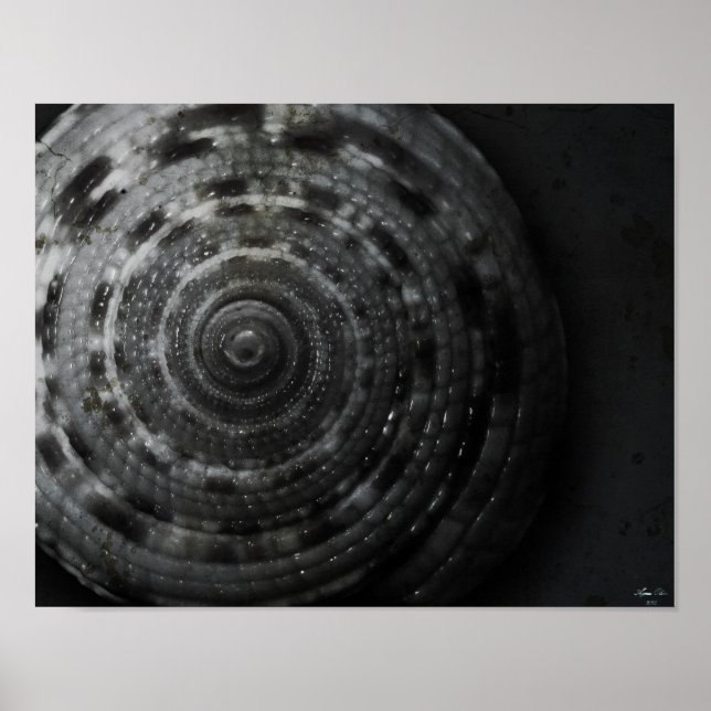 Poster d'affichage BW à cadran (avant) (Devant)