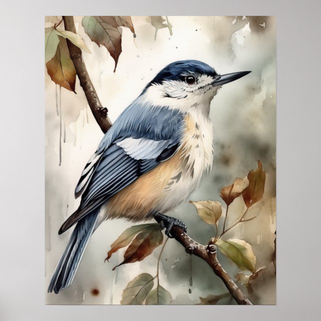 Poster d'affiche d'art d'Oiseau Nuthatch à poitrin (Devant)