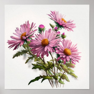 Poster d'affiche d'art rose Aster