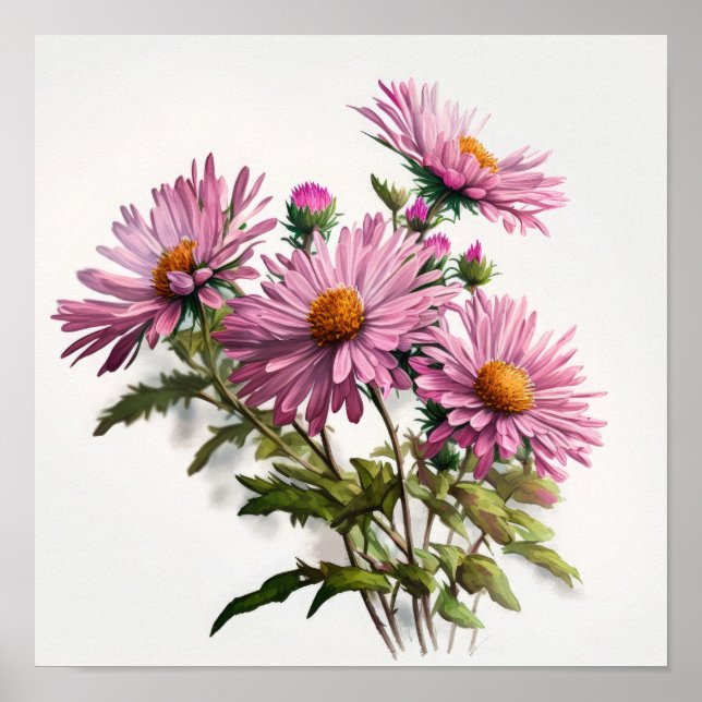 Poster d'affiche d'art rose Aster (Devant)