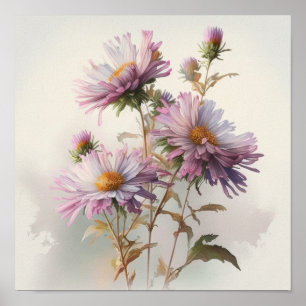 Poster d'affiche d'art rose Aster