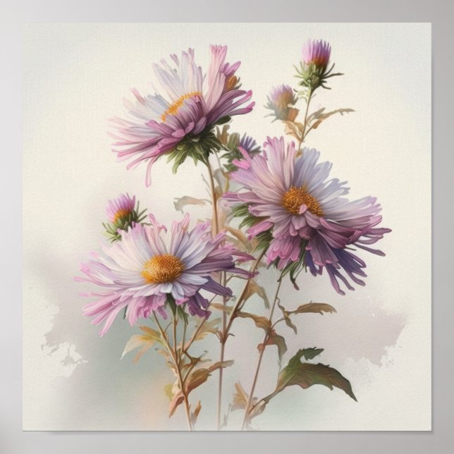 Poster d'affiche d'art rose Aster (Devant)