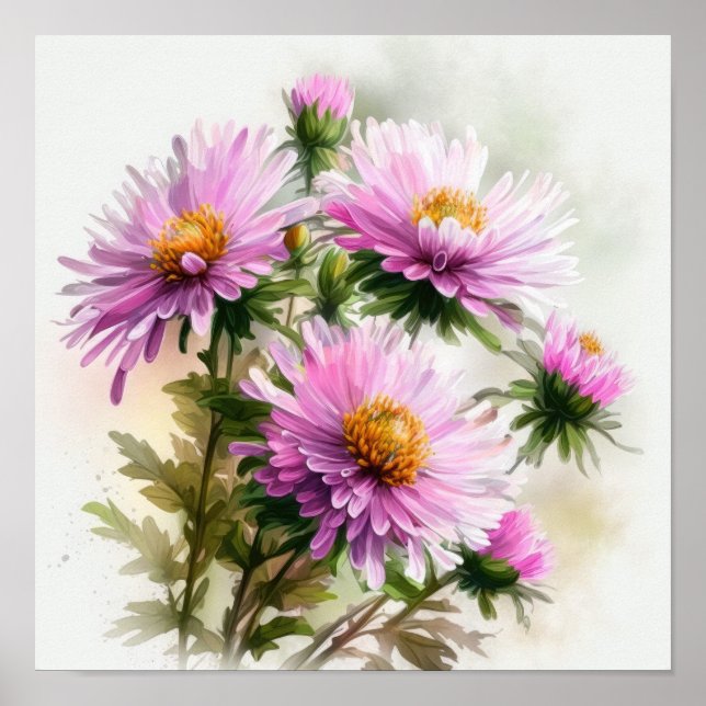 Poster d'affiche d'art rose Aster (Devant)