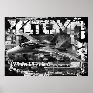 Poster d'affiche de la valeur de Tomcat F-14 (Matt