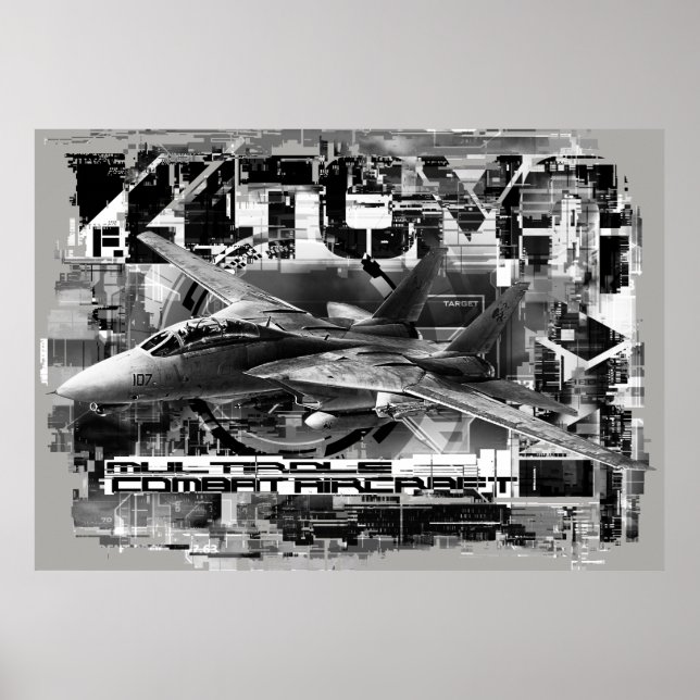 Poster d'affiche de la valeur de Tomcat F-14 (Matt (Devant)
