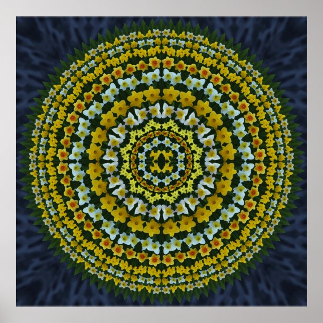 Poster Daffodil Mandala (Devant)