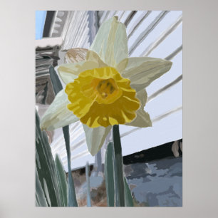 Poster Daffodil Portrait