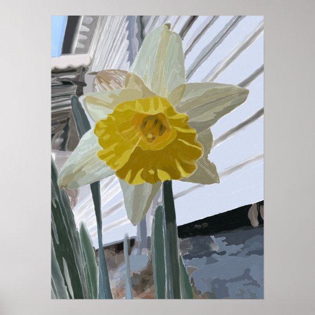 Poster Daffodil Portrait (Devant)