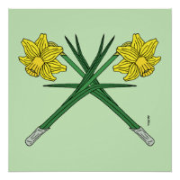 Daffodils traversés