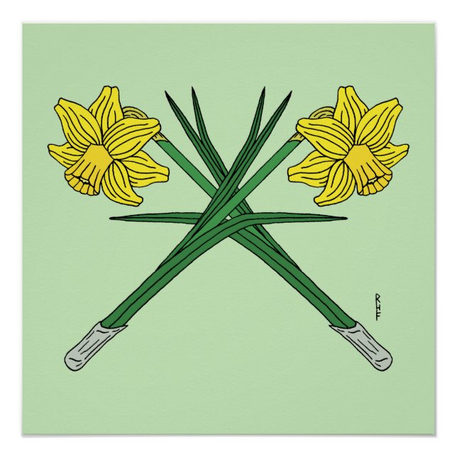Poster Daffodils traversés (Devant)