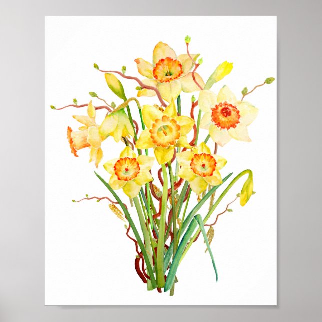 Poster Daffodique de fleur de printemps d'aquarelle (Devant)