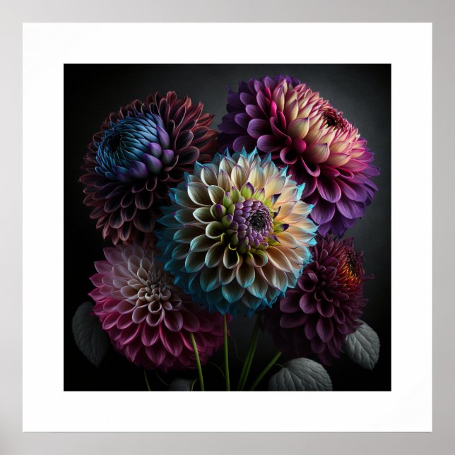 Poster Dahlia Flowers (Devant)