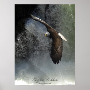 Poster d'aigle et de cascade