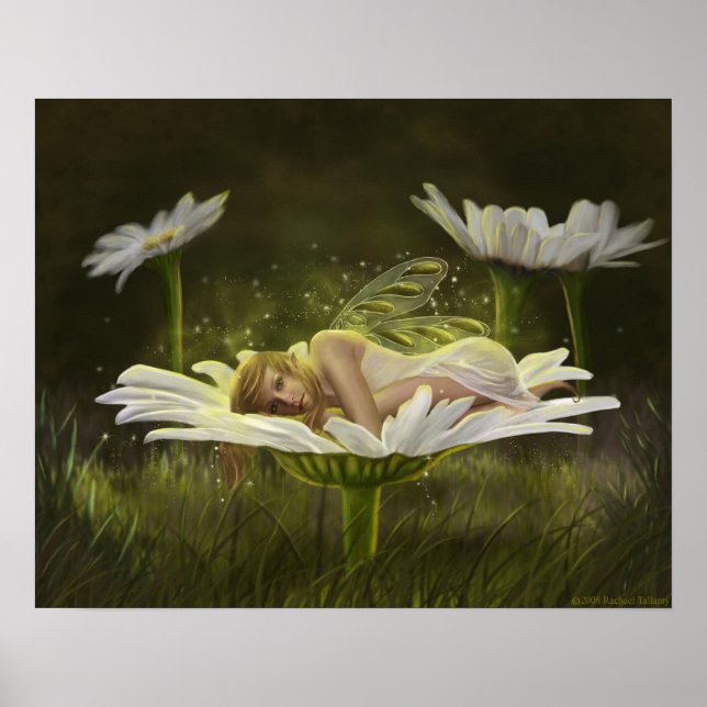 Poster Daisy (Devant)