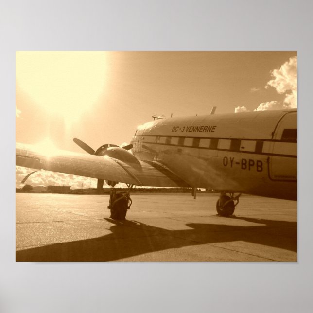 Poster "Dakota Souhaitant Le Ciel Dans Le Soleil Du Soir" (Devant)