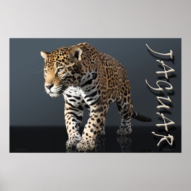 Poster d'alimentation Jaguar -36x24 -autres taille (Devant)